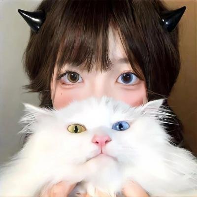 传奇之师：新英格兰爱国者